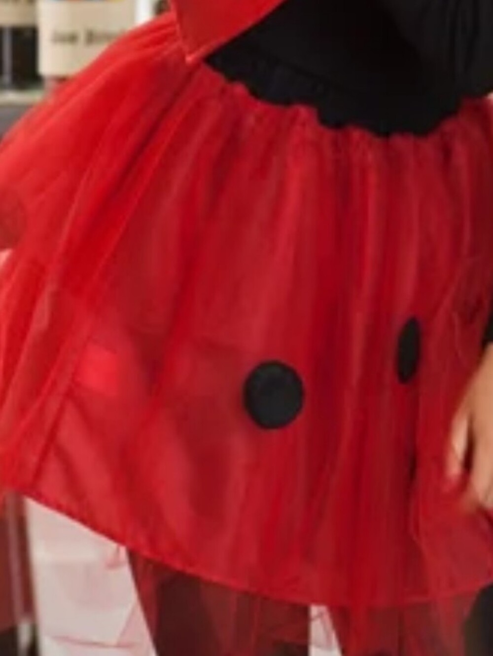 Pottery Barn Teen Red and Black Ladybug Tulle Skirt Costume